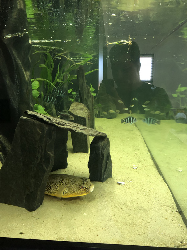 vy3S7I3eS8O1vnwoLOfZcw