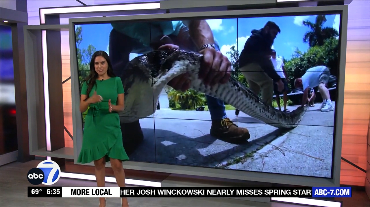 Abc7 More In The Morning Wkn 6Am Su 20240317 10001100-1.mp4_snapshot_31.57.546