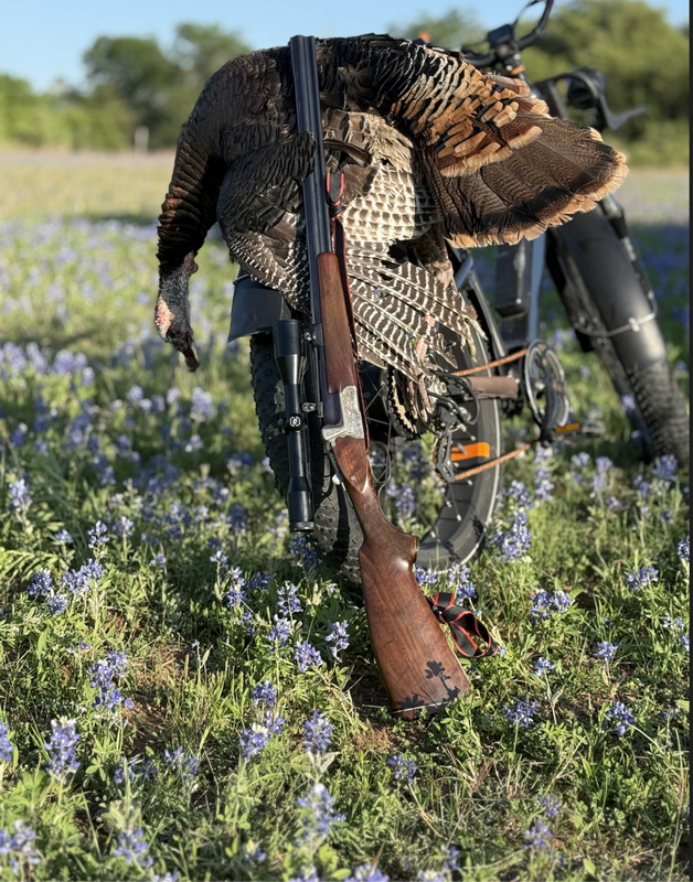 Screen Shot 2025-04-11 at 3.46.32 PM