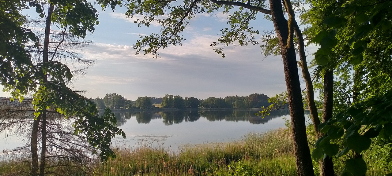 14.14 - IMG20210605191507 (VdL)