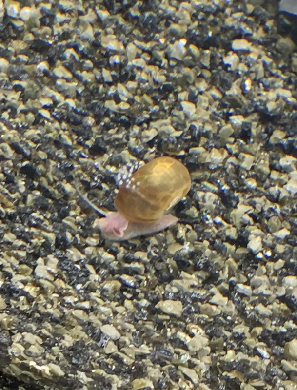 FF387E01-E440-4CD1-B8F2-29C52AA6415B