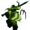 darkheart