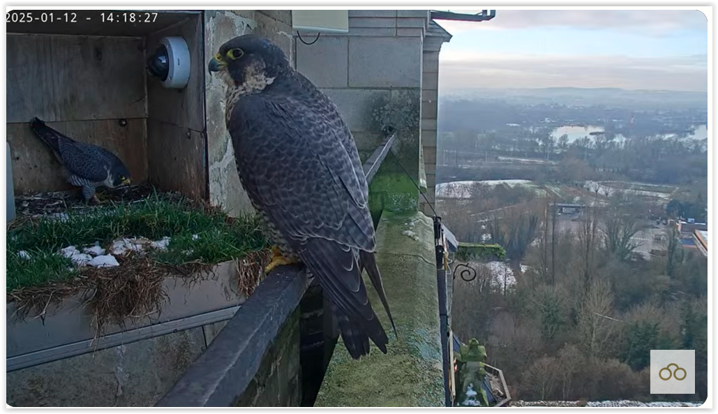 Screen Shot 01-12-25 at 07.12 PM 001