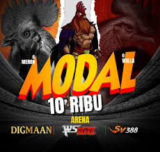 SABUNG AYAM Link Login Situs Slot Gacor Resmi Terbaru