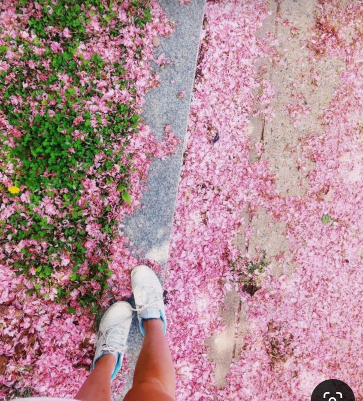 Screenshot_20240617_220128_Pinterest