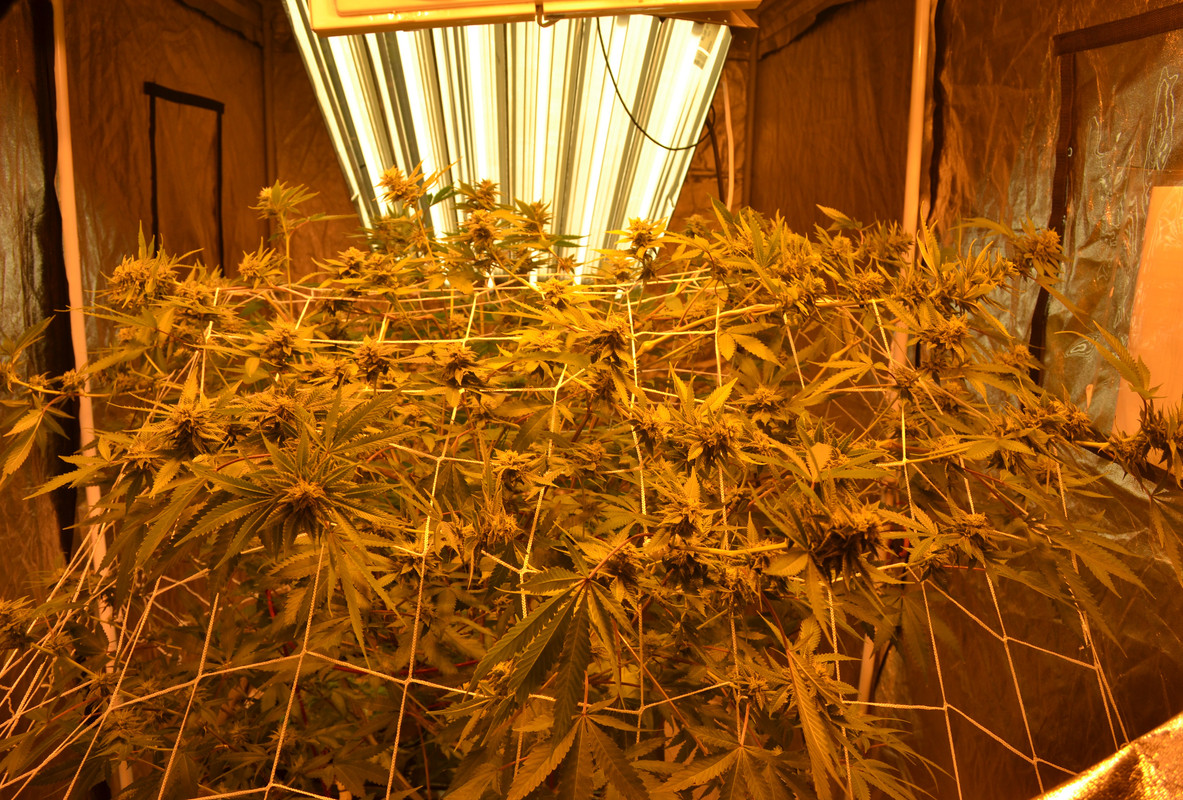 IMG_20171127_020900_516