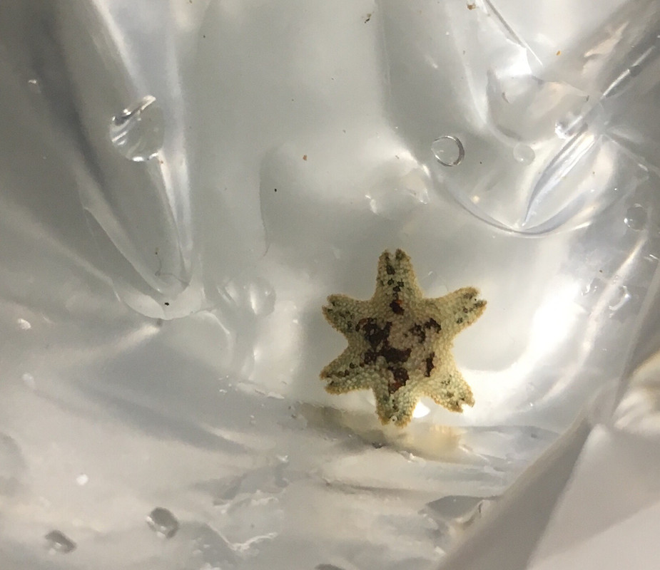 2F30C6D9-B489-4C03-9034-169D950878FF