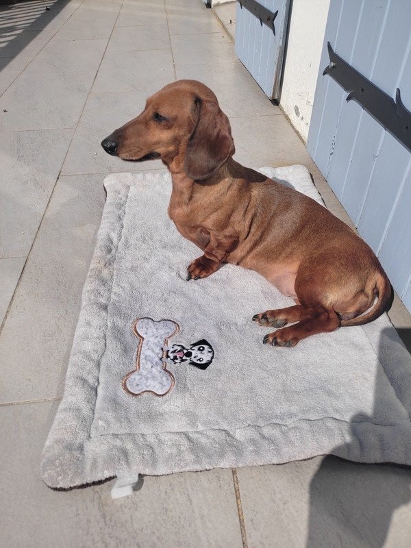 [Image: IMG-20240329-141039.jpg]