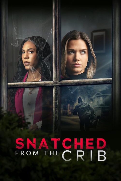 Porwanie / Snatched From The Crib (2025) PL.480p.AC3.WEB-DL.XviD-GR4PE / Lektor PL