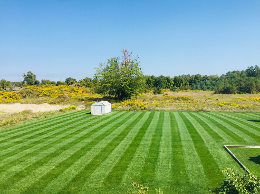 D5F229D7-F7CE-4169-9055-4832B58489C3