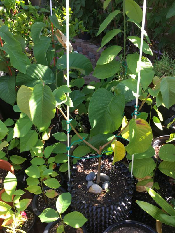 99914B38-1126-4CE7-ABFD-3D4DA1EB73F5