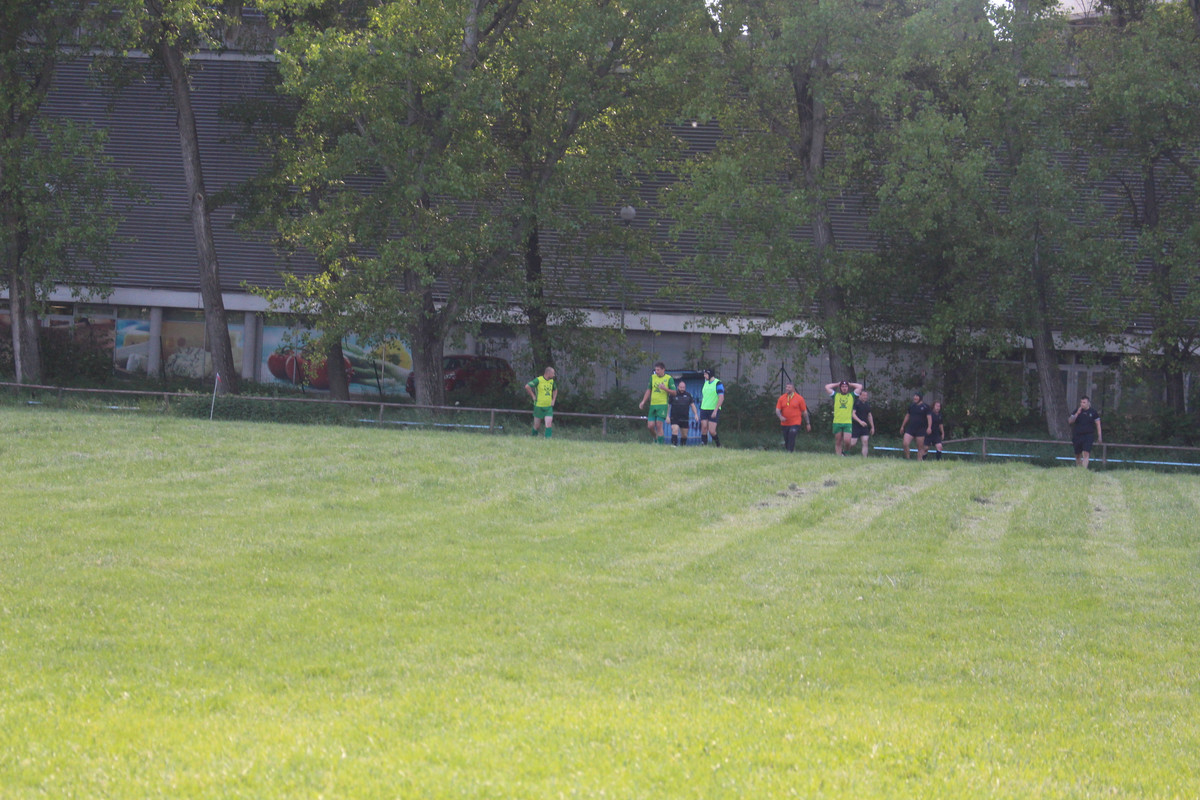 IMG-1310