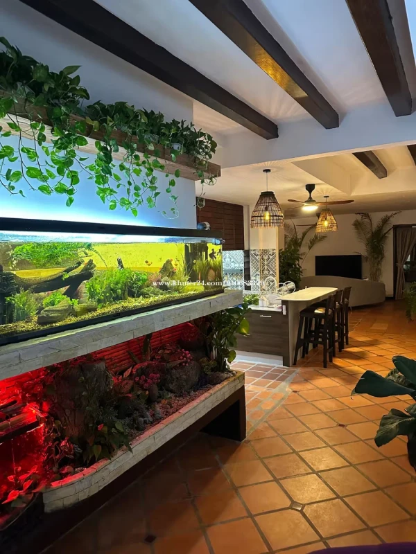 villa for rent daily or weekly 252282174426724916518013 i