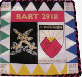 BArt2918