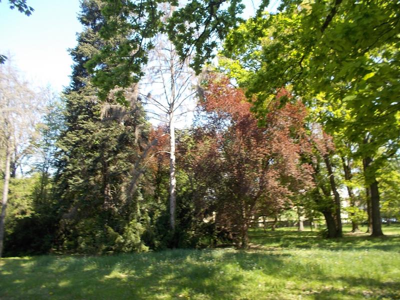 Slika