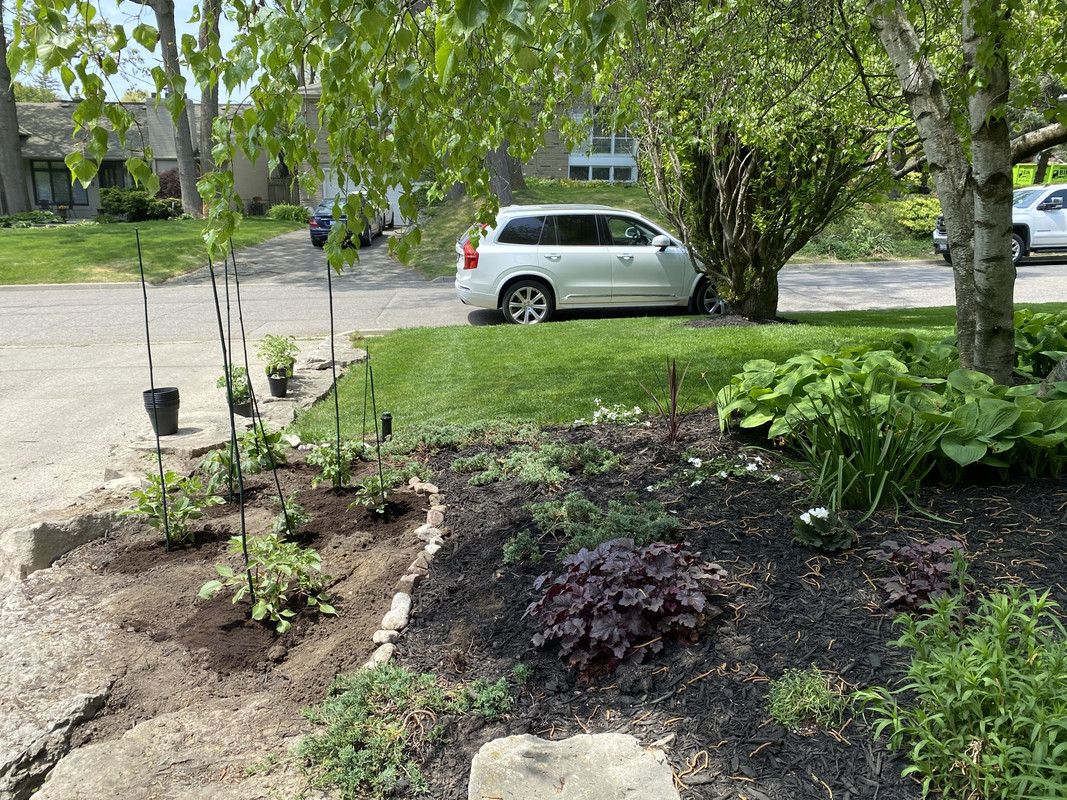 C1AE0ABA-01CA-45D6-B4E5-CA4F427DE2C6