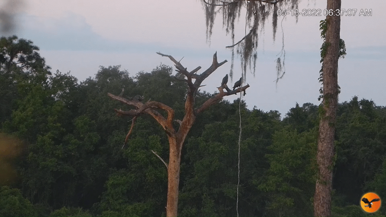 Webp.net-gifmaker (6)