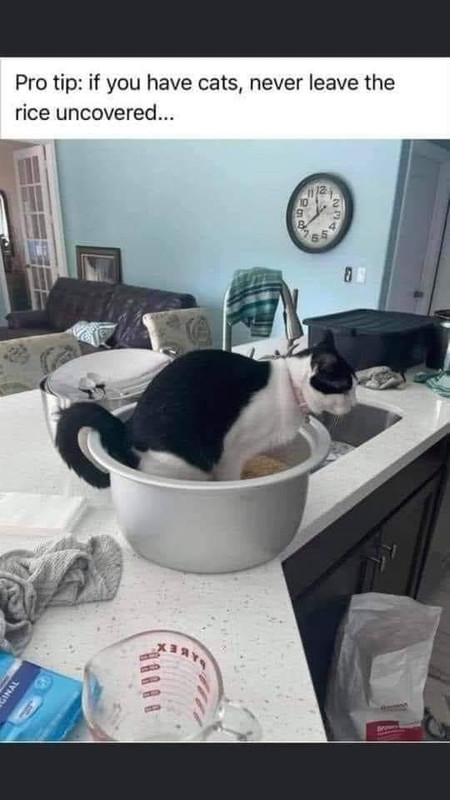 9D88224A-5146-4710-93A6-1497E1A32DD0