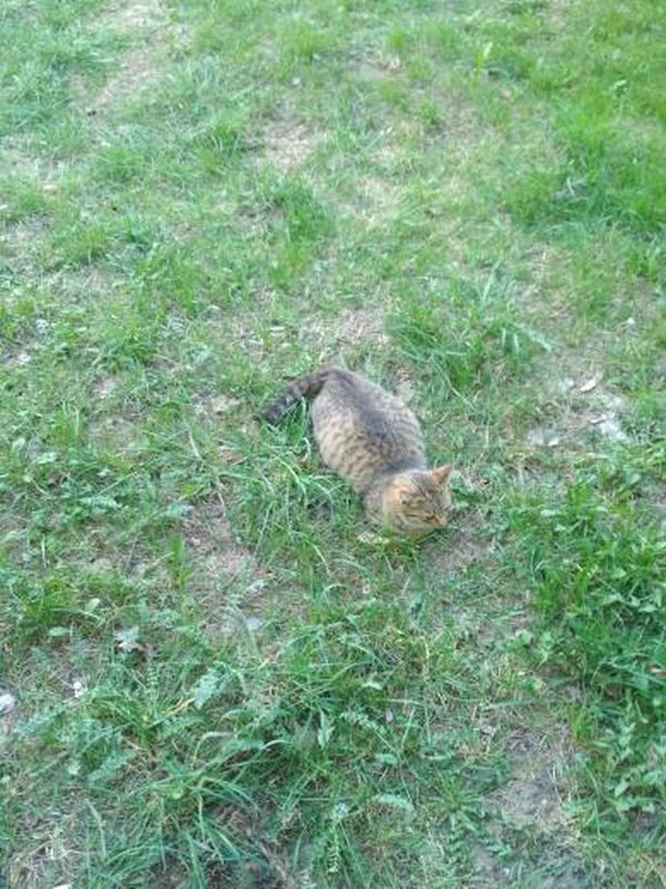 1384A548-CD21-47BA-BA1B-A1B455E6CD59