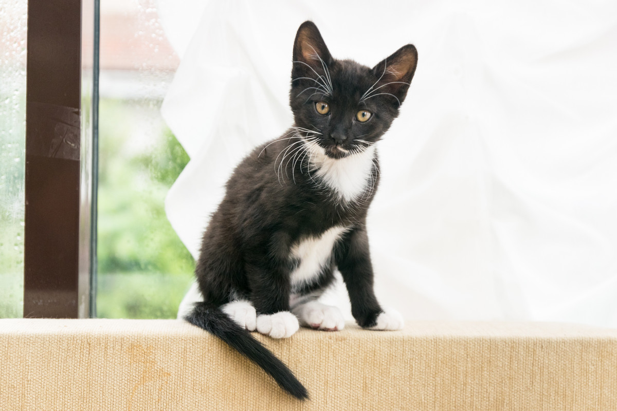 ?омка и Марго-58