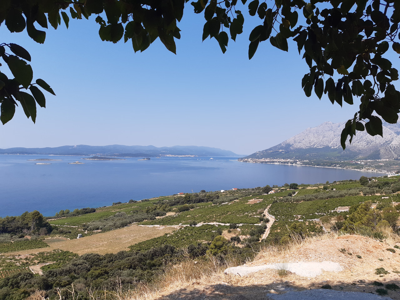 DÍA 14. Korčula - Valencia-Croacia en coche! [2022] (2)