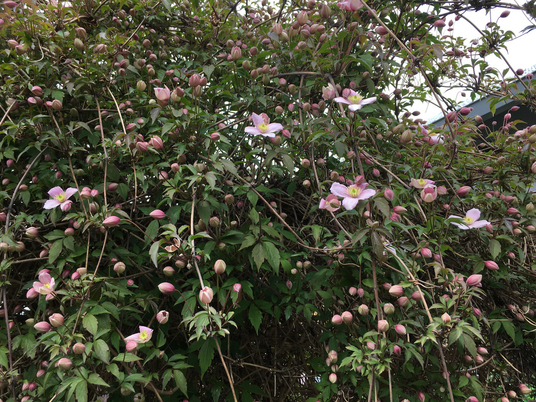 5CC65AAB-34D5-4931-B2AD-71F32C570F42