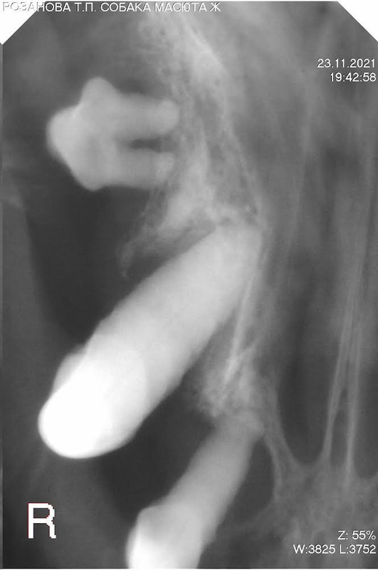 1343F21A-5574-48C2-B58D-D368B51FE694