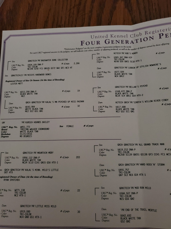 170565AC-DDC2-4920-9774-B2D2D8DEA00A