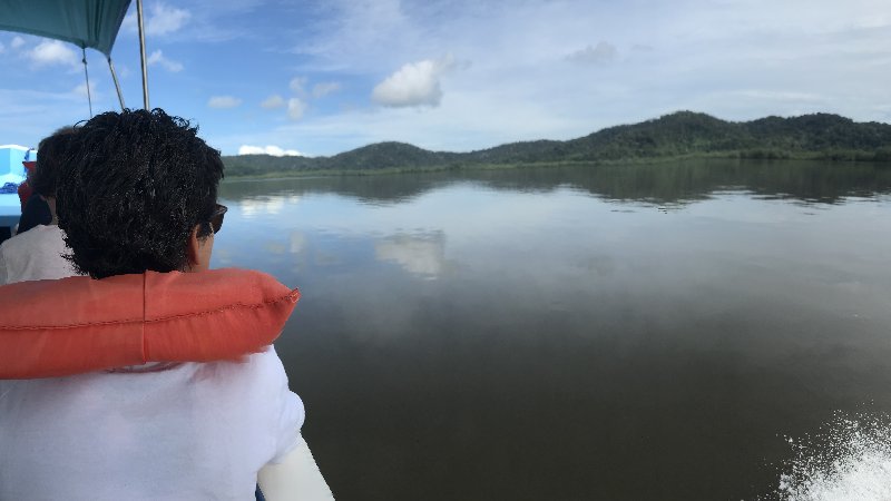 DIA 13: EXCURSIÓN DE UN DÍA A CORCOVADO - DE TORTUGAS Y PEREZOSOS. COSTA RICA 2019 (9)