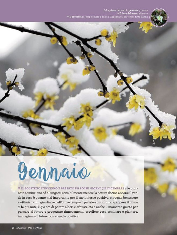 Almanacco Orto e Giardino Bio 2023 (7)