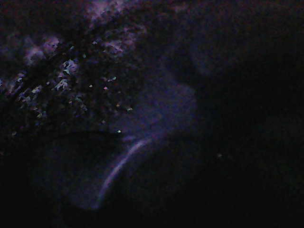 Photo_2025-06-05 21_50_40_421