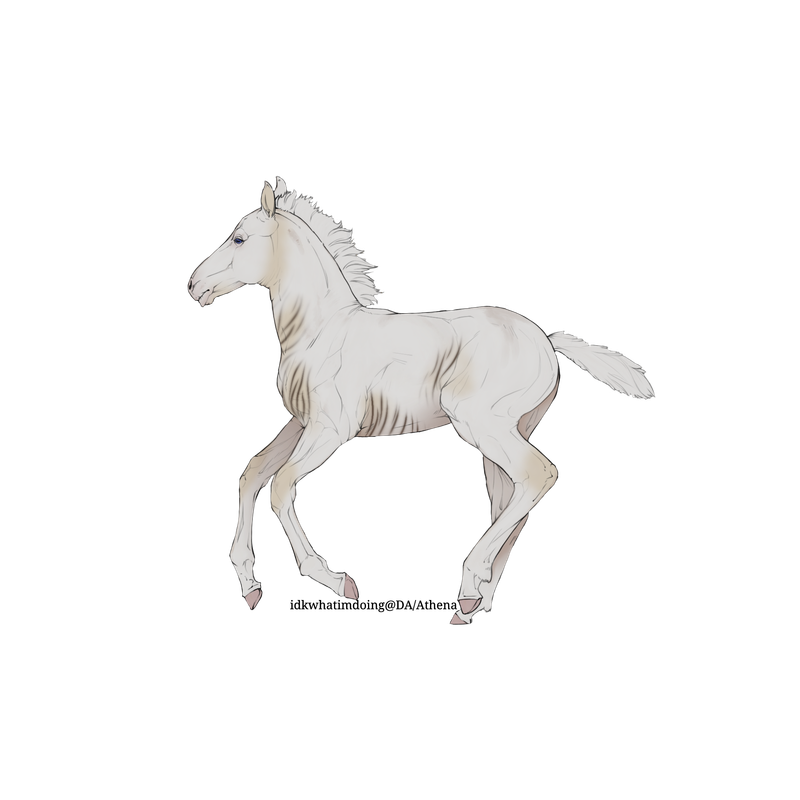 Untitled88-20250415113451.png