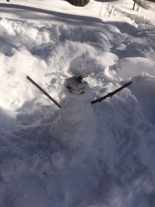 35118E0F-0DE4-4651-A2BA-0B6C3F6612C3