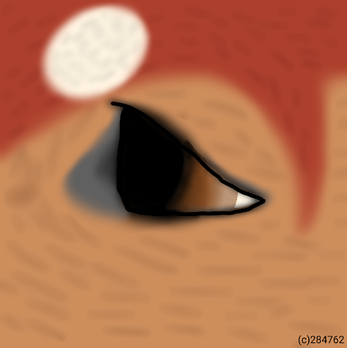 Dakota-s-Eye.png