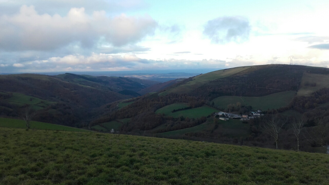 мусс на прогулке2