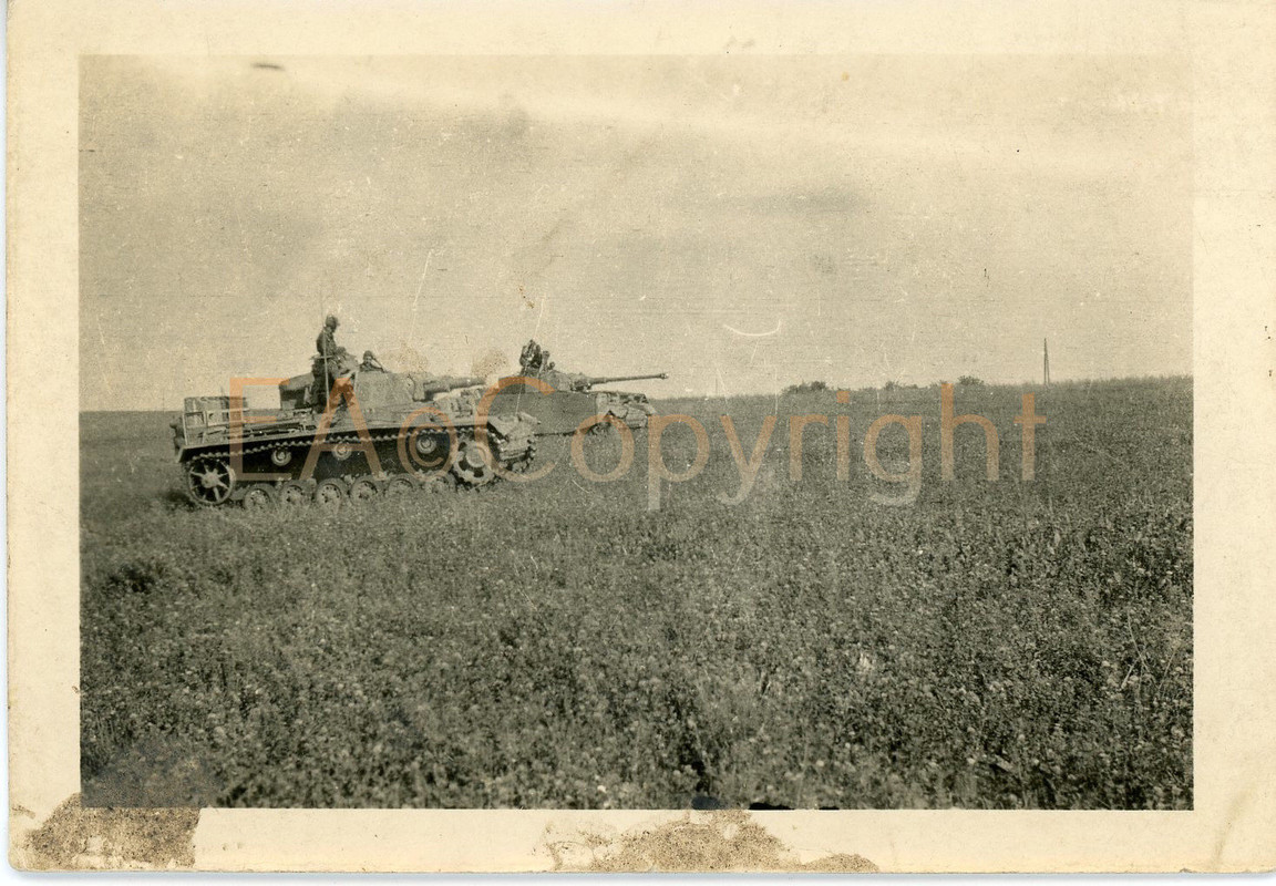 Russland Kämpfe Panzer III Langrohr Schürzen Tank Foto