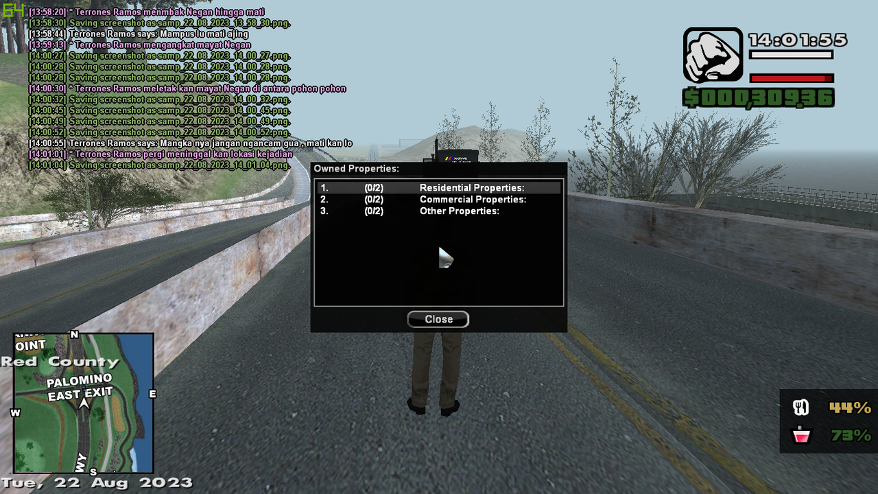 samp-22-08-2023-14-01-56.png