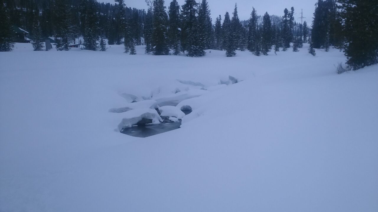 IMG_20190528_220406_729