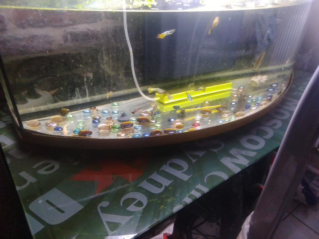 1644507658605705199684674082923