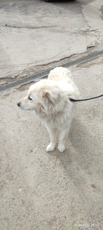 WhatsApp Image 2024-04-11 at 15.25.23 (1)