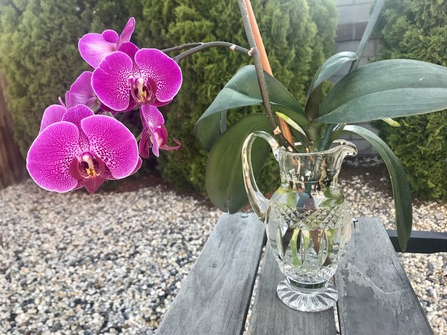 [Image: C111-F652-8-BD8-4968-B2-DD-659749848-D4-B.jpg]