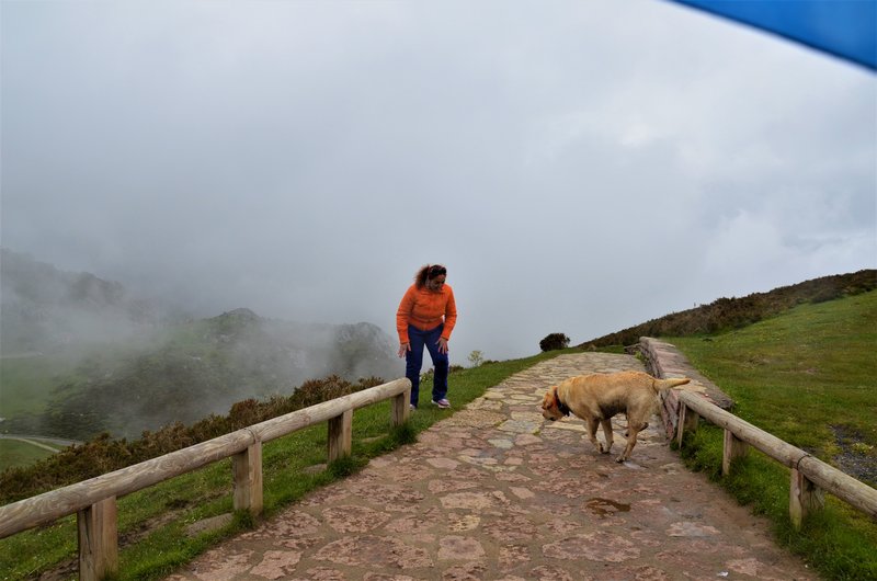 PICOS DE EUROPA-16-5-2013-LEON/ASTURIAS/CANTABRIA - Paseando por España-1991/2016 (39)