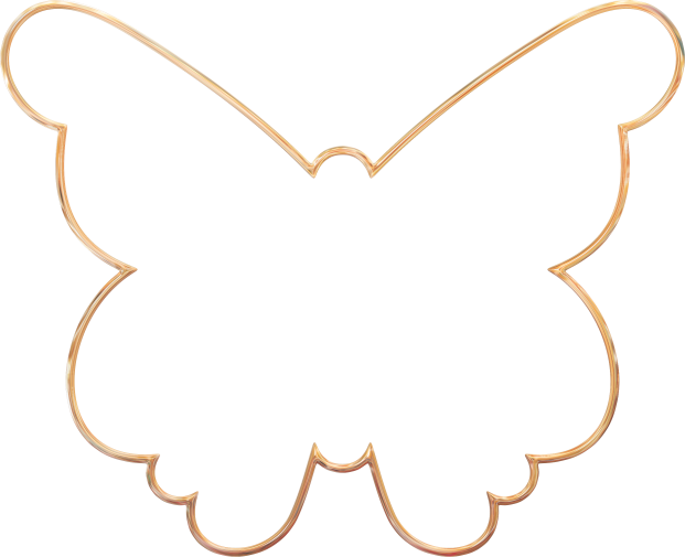 Butterfly4