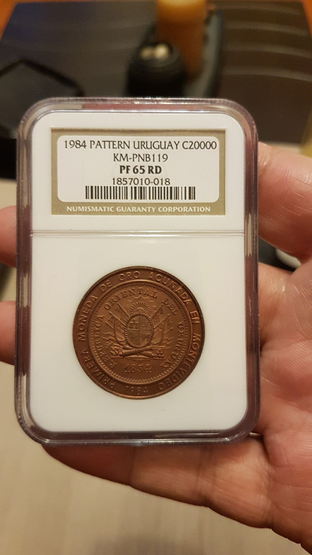 Uruguay •1984• Nuevos Pesos 20.000 •ENSAYO• 20191110-204500