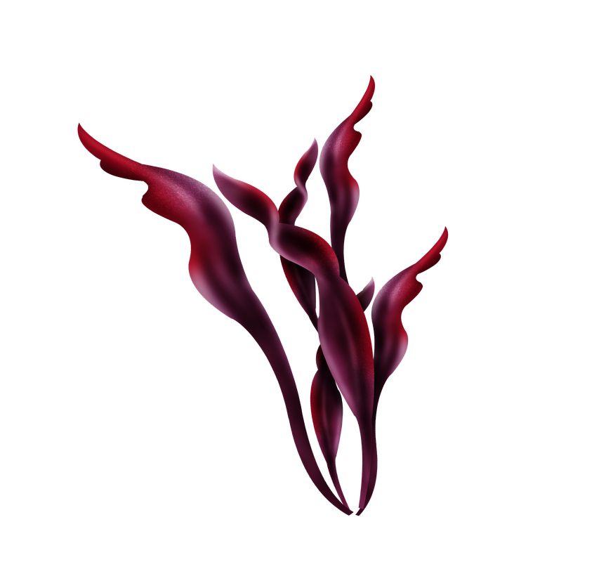 e50_ks