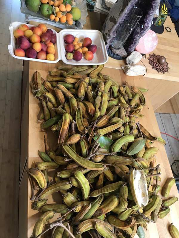 E7149F32-2F63-4BB5-B3AB-978D26318A7B