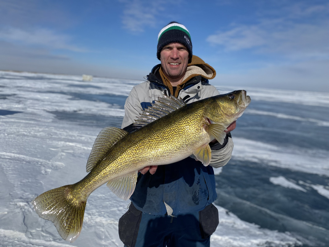 AB0EEEB9-20A7-4087-850D-24A61BE32947