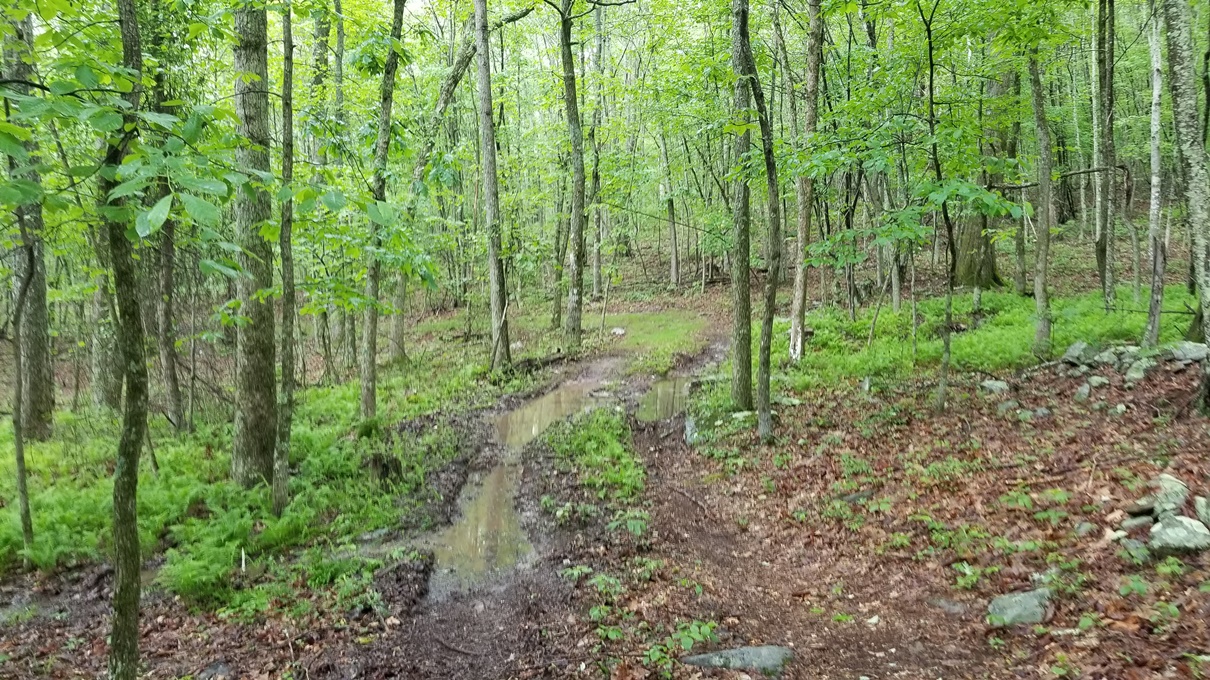 20180602_105807