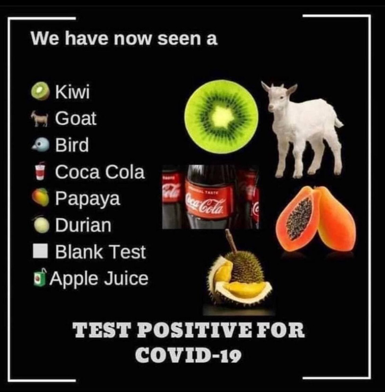 135060512-222712846153032-50418358356073
