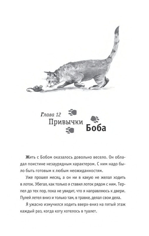 Bouen-Dzhejms-Ulichnyj-kot-po-imeni-Bob-Teper-i-dla-detej-1-Bob-neobychnyj-kot-564490-page-0076